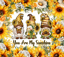 Load image into Gallery viewer, You Are My Sunshine/My SunShine/20oz. Tumble/ Auntie Lolo's Creations